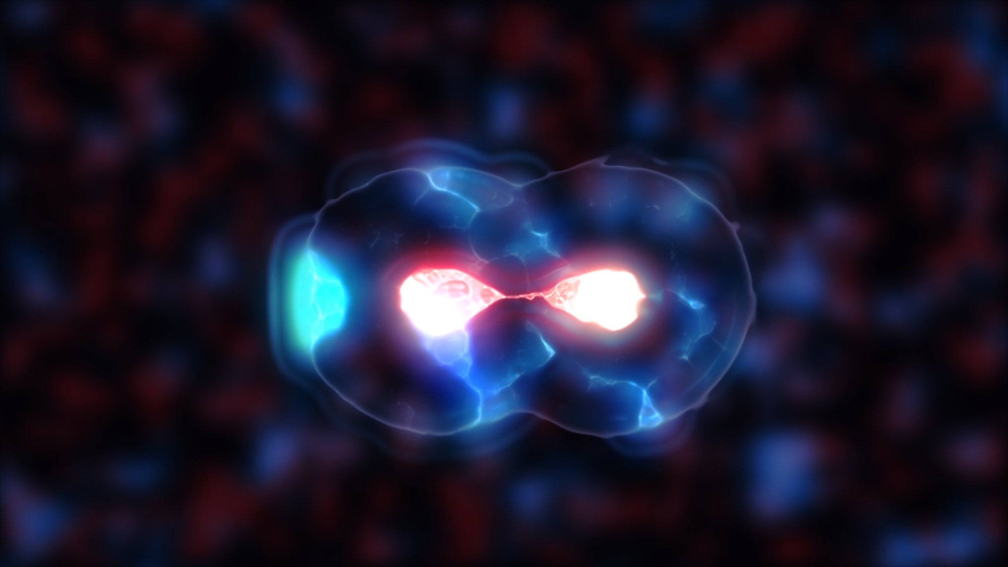 Cell Division, generic cell dividing with copy space, stem cells dividing